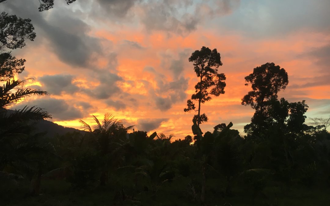 Por qué decidí volver a Sumatra